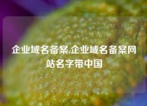 企业域名备案,企业域名备案网站名字带中国