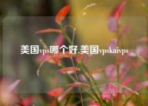 美国vps哪个好,美国vpskaivps