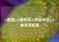 iis配置web服务器,iis的安装及web服务器配置