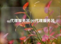 qq代理服务器,QQ代理服务器