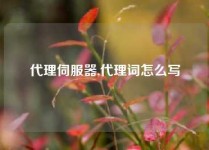 代理伺服器,代理词怎么写