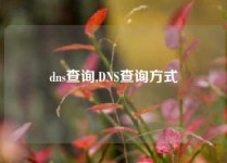 dns查询,DNS查询方式