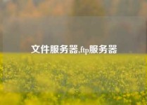 文件服务器,ftp服务器