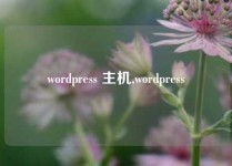 wordpress 主机,wordpress