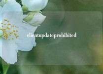 clientupdateprohibited