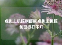 虚拟主机控制面板,虚拟主机控制面板打不开