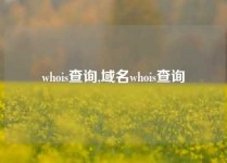 whois查询,域名whois查询
