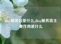 dhcp服务器是什么,dhcp服务器主要作用是什么