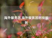 海外服务器,海外服务器对接服务