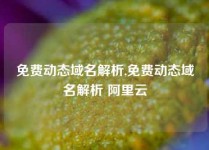 免费动态域名解析,免费动态域名解析 阿里云