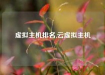 虚拟主机排名,云虚拟主机