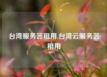 台湾服务器租用,台湾云服务器租用