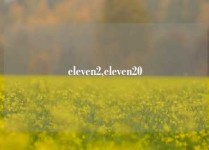 eleven2,eleven20
