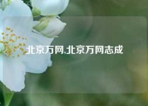 北京万网,北京万网志成