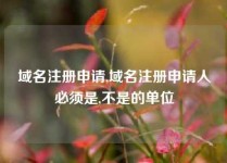 域名注册申请,域名注册申请人必须是,不是的单位
