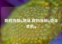 我的当前ip地址,我的当前ip地址本机ip