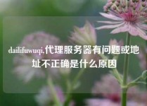 dailifuwuqi,代理服务器有问题或地址不正确是什么原因