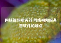 网络视频服务器,网络视频服务器软件的难点