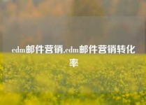 edm邮件营销,edm邮件营销转化率