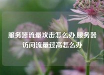 服务器流量攻击怎么办,服务器访问流量过高怎么办