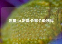 流量nnt,流量卡哪个最划算