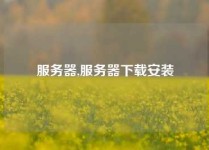服务器,服务器下载安装