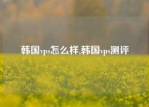 韩国vps怎么样,韩国vps测评