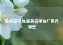 服务器平台,服务器平台厂商有哪些