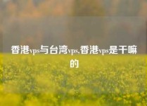 香港vps与台湾vps,香港vps是干嘛的