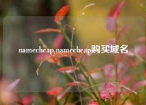 namecheap,namecheap购买域名
