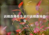 远程连接命令,运行远程连接命令