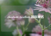 clienthold,clientHold 国际域名