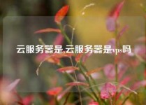 云服务器是,云服务器是vps吗