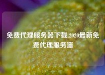 免费代理服务器下载,2020最新免费代理服务器