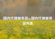 国内代理服务器ip,国内代理服务器列表