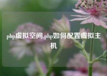 php虚拟空间,php如何配置虚拟主机