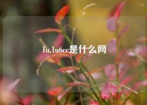 1u,1u6cc是什么网