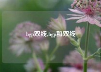 bgp双线,bgp和双线
