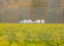 url转向,url转发