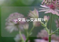 vps交流,vps交流群TG