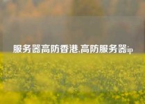 服务器高防香港,高防服务器ip