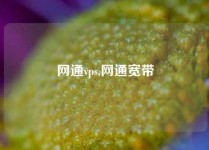 网通vps,网通宽带