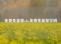 免费免备案cdn,免费免备案空间
