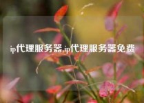 ip代理服务器,ip代理服务器免费