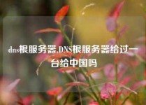 dns根服务器,DNS根服务器给过一台给中国吗