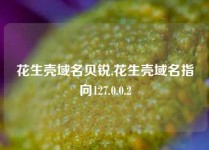 花生壳域名贝锐,花生壳域名指向127.0.0.2