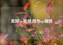 美国vps租用,国外vps租赁