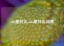 cdn是什么,cdn是什么品牌