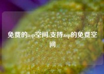 免费的asp空间,支持asp的免费空间