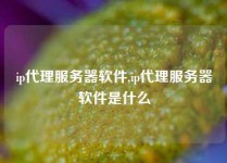 ip代理服务器软件,ip代理服务器软件是什么